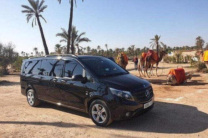 Private Transfer to or from Marrakech Menara Airport - Meeting Point and Ease of Access
