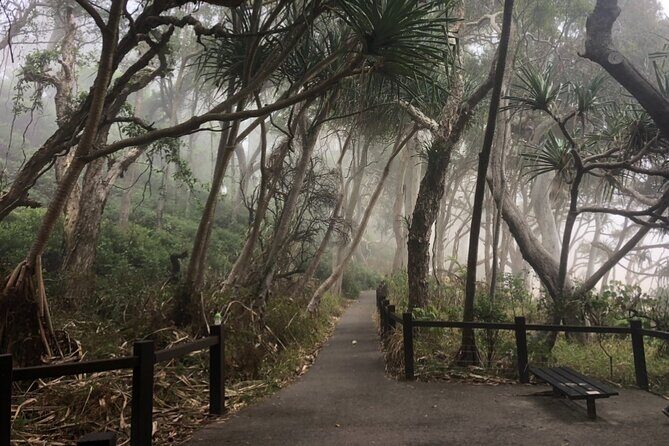 Private Transfer to or from Sunshine Coast Airport (MCY) - Key Points