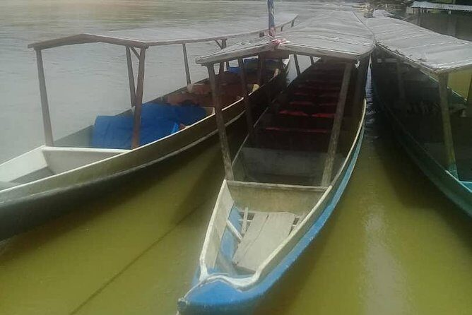 Private Transfer to Taman Negara from Kuala Lumpur - Key Points