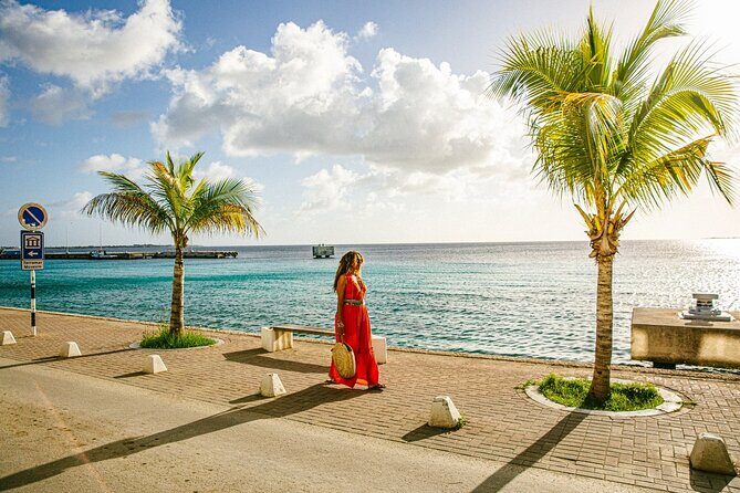 Private Transfers between Bonaire airport and any local address - Final Thoughts