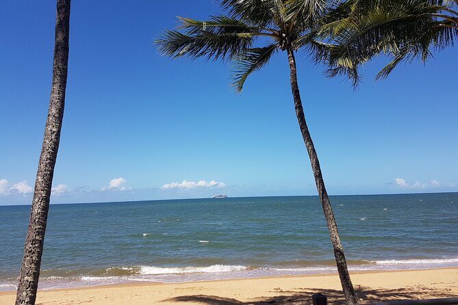 Private Transfers - Cairns Airport to Cairns City - Who Will Benefit Most