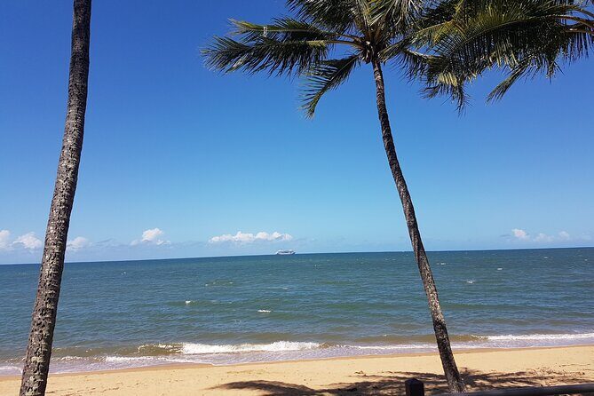 Private Transfers Cairns Airport to Port Douglas - Why This Transfer Is Worth Considering
