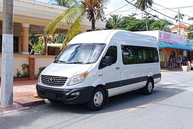 Private Transfers from Punta Cana Airport to Hotels - The Pickup and Meeting Process