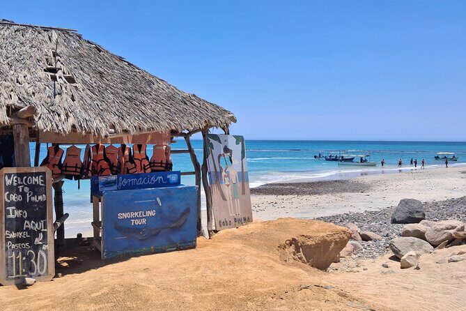 Private Transportation at VAN Airport Los Cabos - Cabo Pulmo Park - The Deal with the Transfer: What You Can Expect