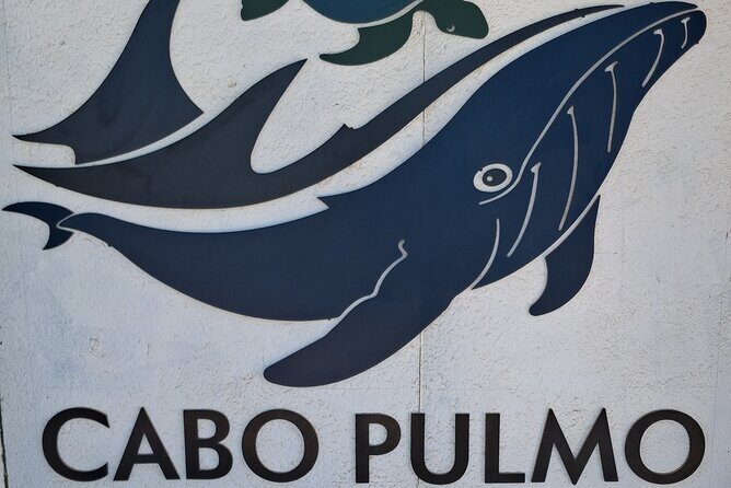 Private Transportation at VAN Airport Los Cabos - Cabo Pulmo Park - Who Is This Best For?