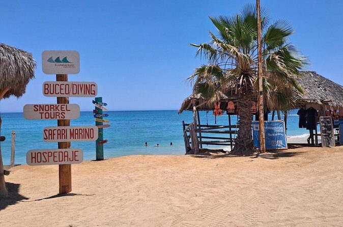 Private Transportation at VAN Airport Los Cabos - Cabo Pulmo Park - The Sum Up