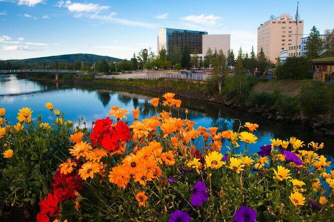 Private Transportation Between Fairbanks and Denali National Park - Practical Details and What You Can Expect