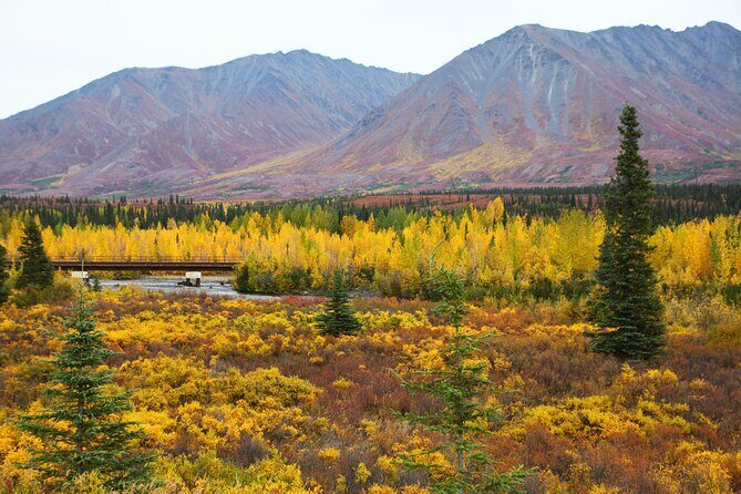 Private Transportation Between Fairbanks and Denali National Park - FAQ