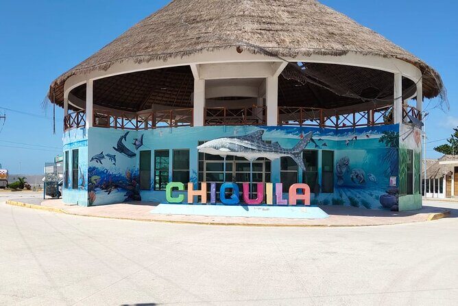 Private Transportation Cancun Airport to Chiquilá Holbox - An in-depth look at the Cancun to Holbox transfer experience