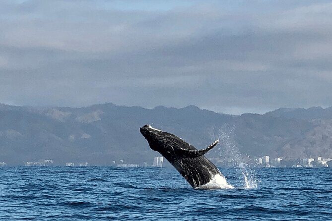 Private Transportation from Guadalajara to Puerto Vallarta - FAQ