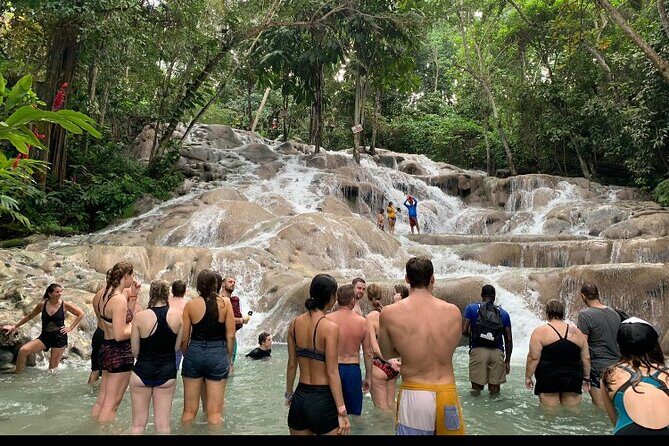Private Transportation from Montego Bay to Mystic Mountain and Dunn's River Fall - Introduction: A Private Day of Adventure in Jamaica