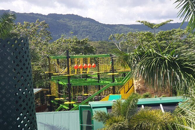 Private Transportation from Montego Bay to Mystic Mountain and Dunn's River Fall - What’s Included and What’s Not