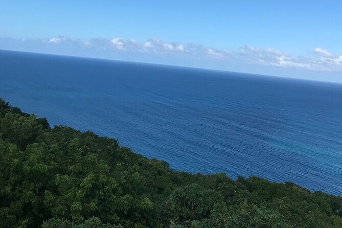 Private Transportation from Montego Bay to Mystic Mountain and Dunn's River Fall - FAQ