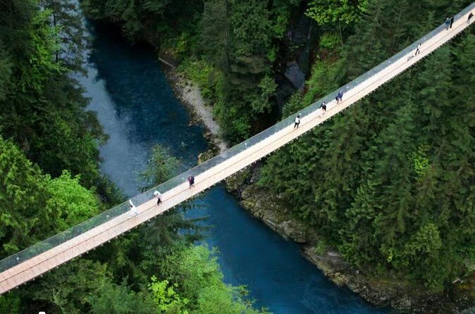Private Transportation to Capilano Suspension Bridge Park - The Sum Up
