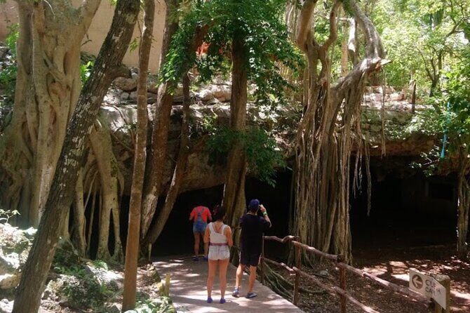 Private Transportation to Chichen Itza Transportation Only - A Closer Look at the Experience