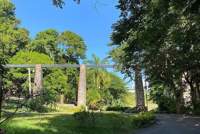 Private Transportation to Negril from Montego Bay - The Real Experience: What to Expect During Your Ride