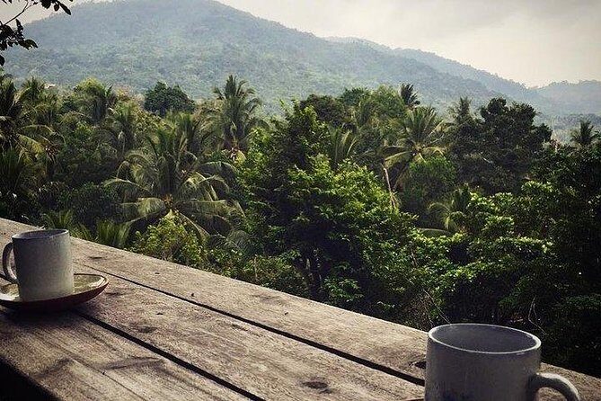 Private trip around Koh Phangan - Cost and Value