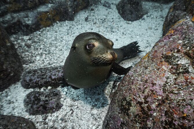 Private Trip Espiritu Santo Island - Who Will Love This Tour?