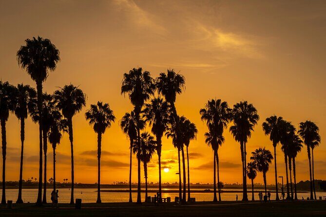 Private Trip Los Angeles, Beverly Hills, Hollywood From Anaheim - What’s Included and What It Means for You