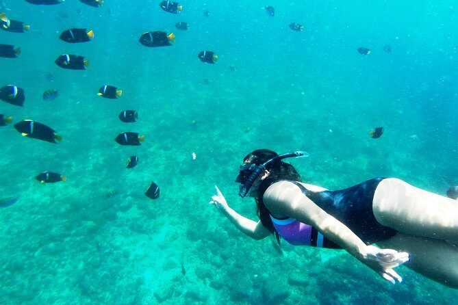 Private trip: snorkeling at Los Arcos & Colomitos beach - A Closer Look at the Experience