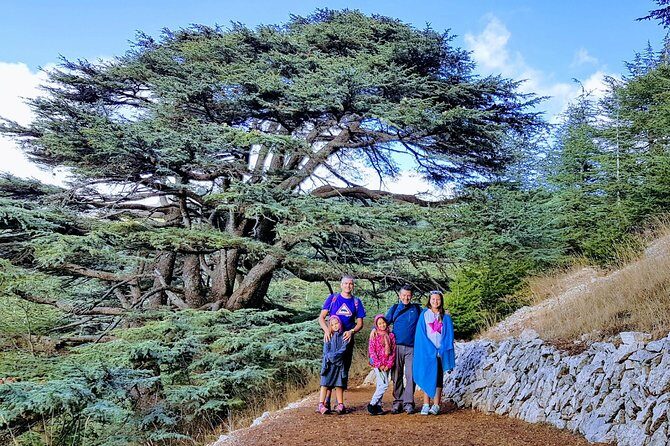 Private Trip to Beiteddine, Deir el Qamar & Maaser el Chouf Cedars - Key Points