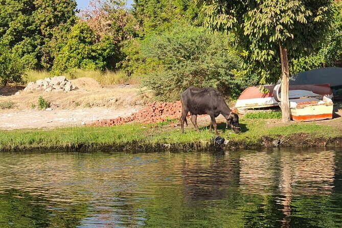 Private Trip to Nubian Village and Felucca Ride in Aswan - Practical Tips for Travelers