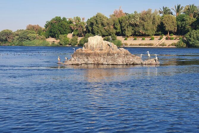 Private Trip to Nubian Village and Felucca Ride in Aswan - Who Should Consider This Tour?