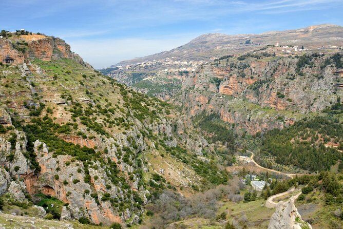 Private Trip to Qadisha Valley, Bcharri and Cedars of God - Who Should Book This Tour?