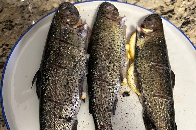 Private Trout Fishing Excursion in Virginia - A Practical Guide to Virginia’s Private Trout Fishing Excursion