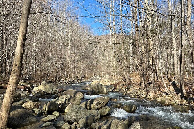 Private Trout Fishing Excursion in Virginia - The Sum Up