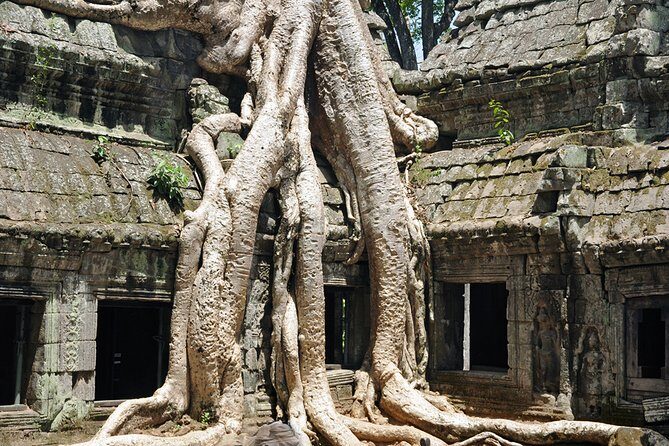 Private Tuk Tuk Tour to Angkor Wat and Small Circle with Two Extras - A Day in Angkor: The Itinerary in Detail