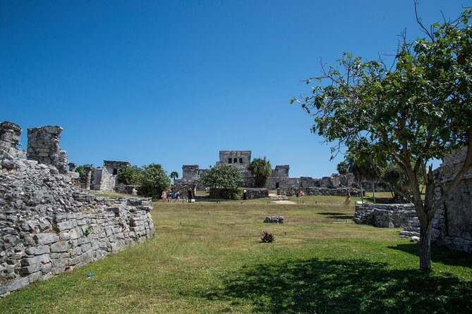 Private Tulum Ruins, Turtles in Akumal and Cenote Adventure - Who Should Consider This Tour?