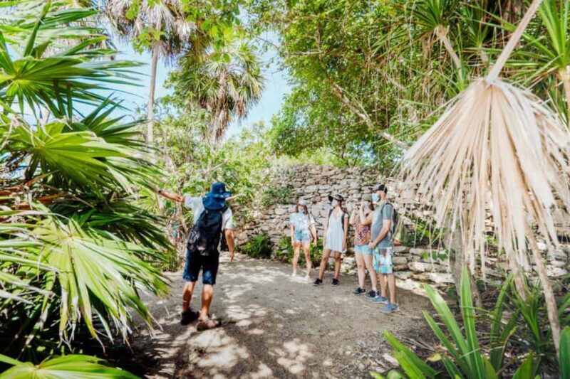Private Tulum Ruins & Underground Cenote with Lunch Included - Key Points