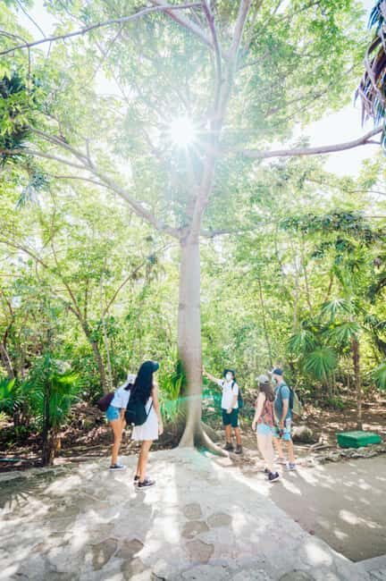 Private Tulum Ruins & Underground Cenote with Lunch Included - Exploring the Tulum Ruins