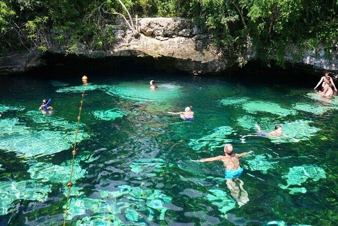 Private Turtle encounter + Cenote Adventure! Express Tour - Why This Tour Offers Good Value