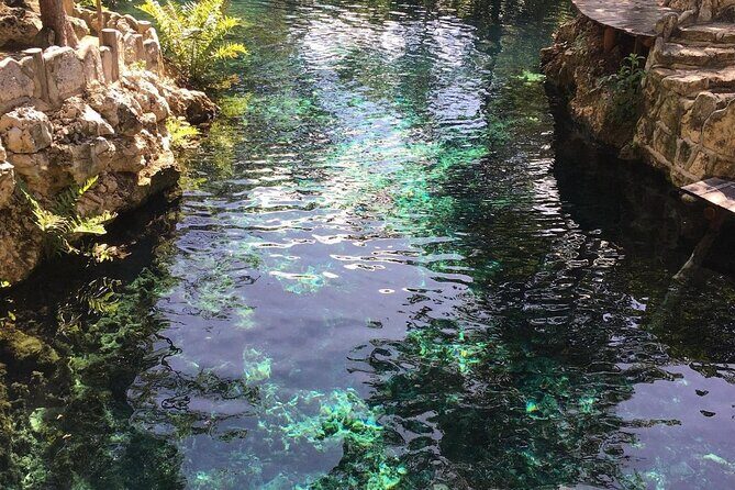 Private Turtle encounter + Cenote Adventure! Express Tour - Deep Dive into the Experience: What You Will Love and What to Keep in Mind