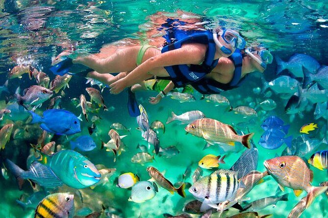 Private Turtle encounter + Cenote Adventure! Express Tour - Final Thoughts: Is This Tour Worth It?