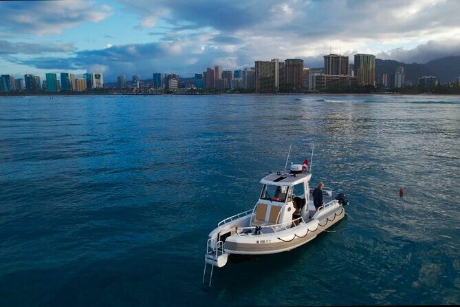 Private Turtle Snorkel & Cruise Waikiki - Practical Considerations