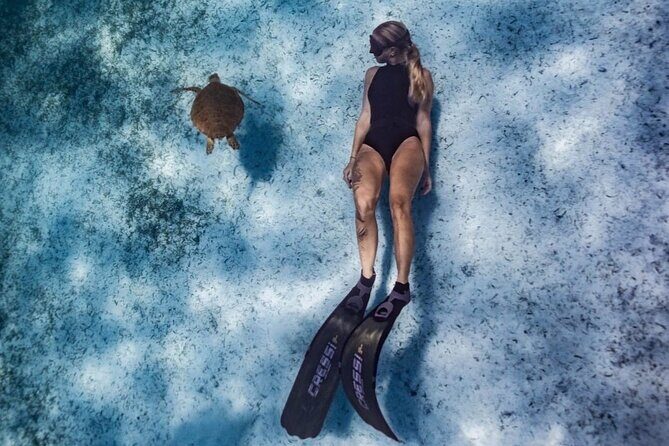 Private Turtle Spotting Snorkeling Excursion in Aruba - The Experience for Different Types of Travelers