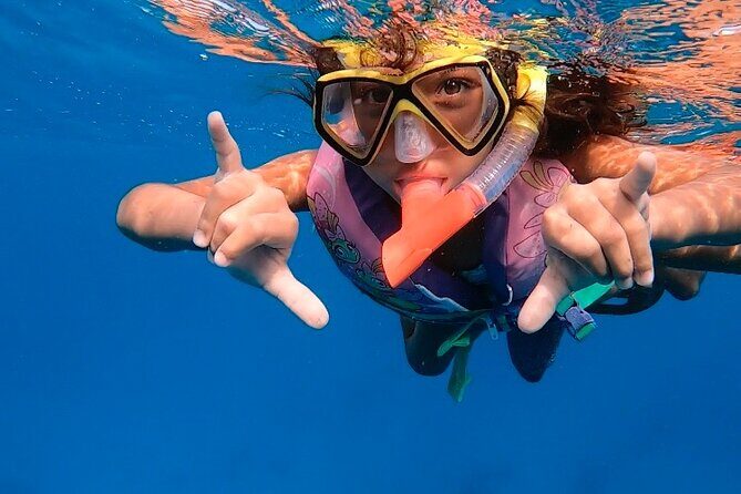 Private Turtle Spotting Snorkeling Excursion in Aruba - The Value of a Private Guided Experience