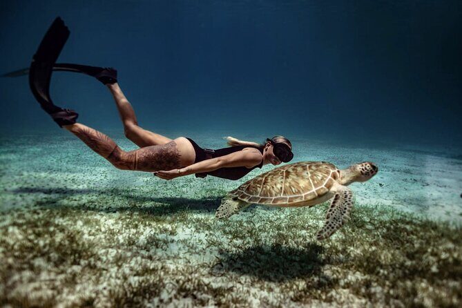 Private Turtle Spotting Snorkeling Excursion in Aruba - Final Thoughts: Who Is This Tour For?