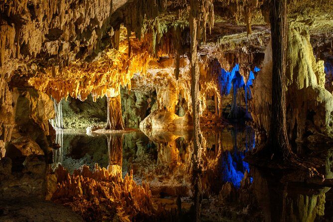 Private Turtles & Cenotes Adventure - FAQ