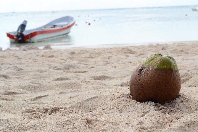 Private Turtles Express - The Sum Up: Who Should Consider This Tour?