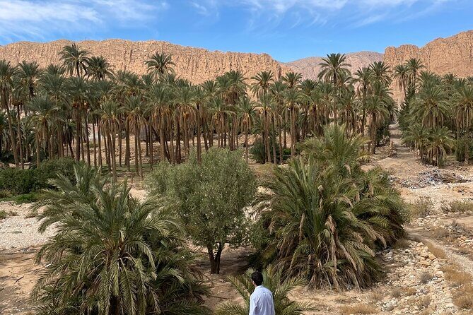 Private two-day tour in Biskra Date Palm Grove - Key Points
