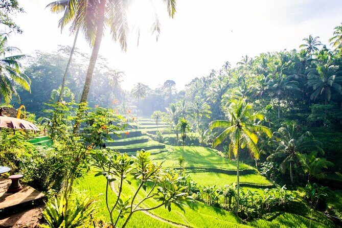 Private Ubud Day Tour Waterfalls Sacred Monkeys and Rice Fields - Authenticity and Cultural Insights