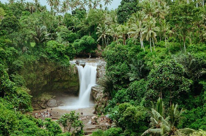 Private Ubud Day Tour Waterfalls Sacred Monkeys and Rice Fields - Who Should Book This Tour?