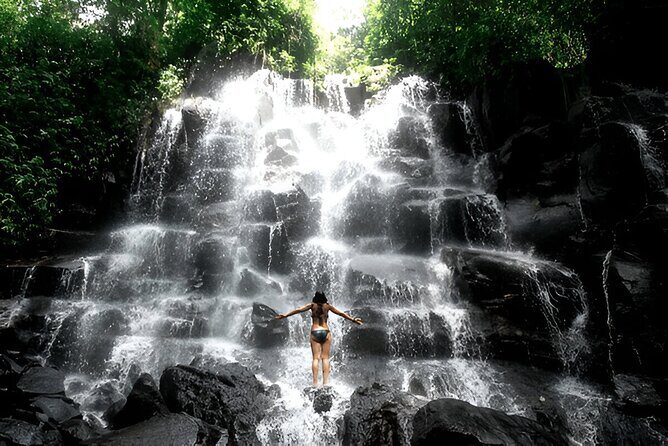 Private Ubud Instagrammable Tour - All Inclusive - Discovering Ubud’s Natural and Cultural Beauty