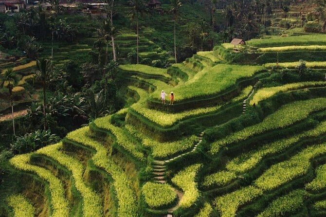Private Ubud Tour - Key Points