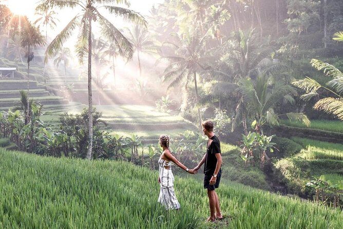 Private Ubud Tour Package - Introduction: Why Choose This Ubud Tour?