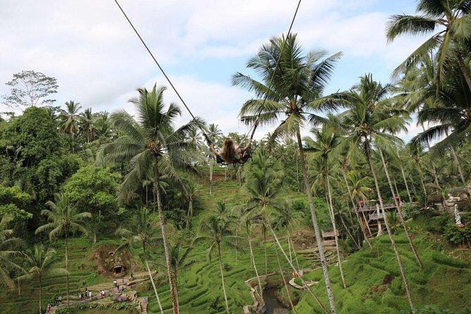 Private Ubud Tour Package - The Logistics: What to Expect